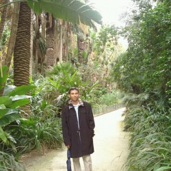 MAT, 19850404, Ibb, Ibb, Yemen