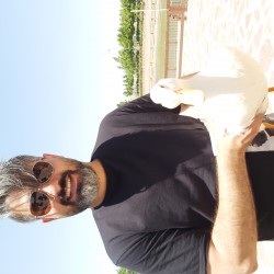 Araz, 19830721, Tehrān, Teheran, Iran