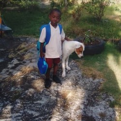 Ive, 19820710, Laborie, Laborie, Saint Lucia